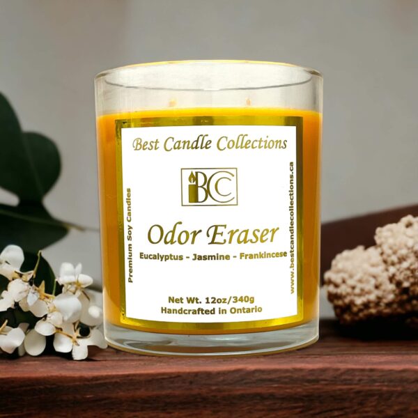 Odor Eraser Scented Soy Wax Candle